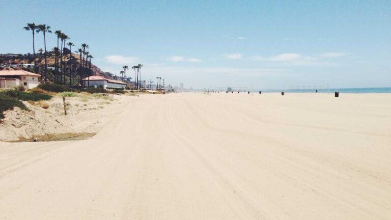 How To Switch Language On 11Xplay Pro New Login India Page?